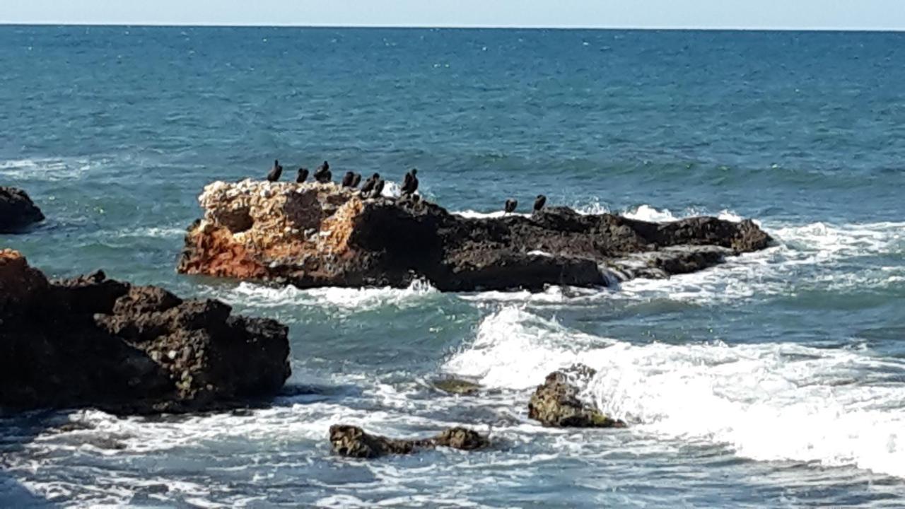 Precioso Apart Sur Y Norte Cerca Playa Y Centro - Cascadas De La Marina Denia Kültér fotó